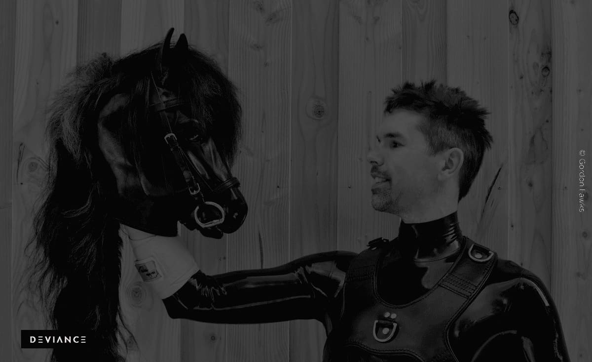 Hoofbeats and heartbeats: Nighty Swifthoof from stable to spotlight