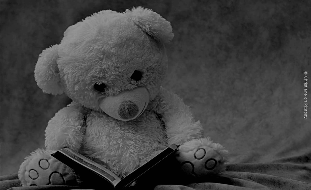 From plush and fantasy: A glimpse into the world of plushophilia